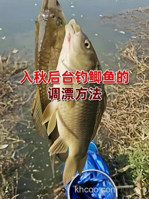 立秋后大板鲫怎么钓？