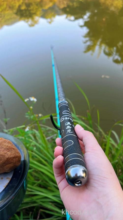 选择一根适合自己的台钓鱼竿