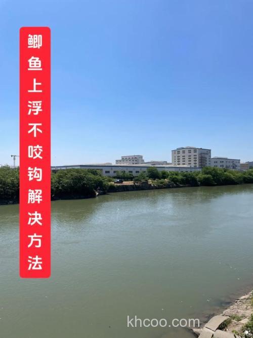 为什么鲫鱼吃钩漂不动？