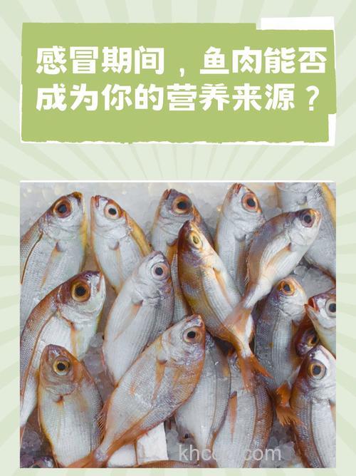 能用猪肉喂鱼吗？