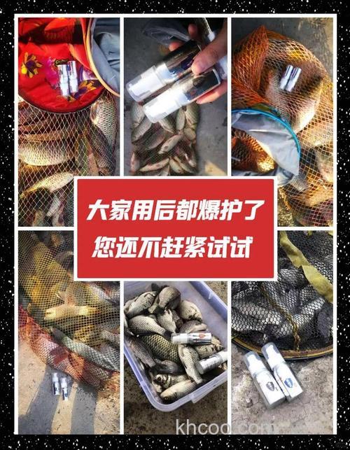 红糖开饵钓鲤鱼效果？