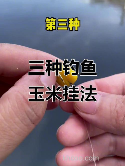 子线挂一串玉米钓鲤鱼怎么样？
