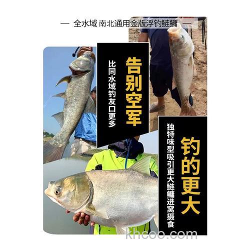 金版浮钓鲢鳙什么味型？