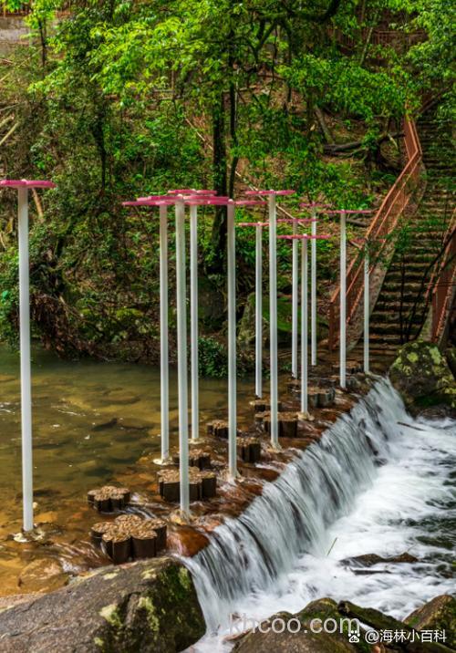 木头和竹排下面是钓鲶鱼的好地方