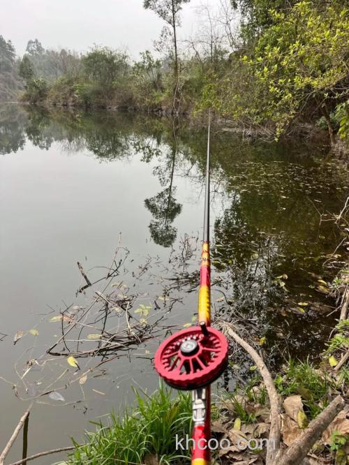 化氏谷麦野河钓鲤鱼效果怎样？