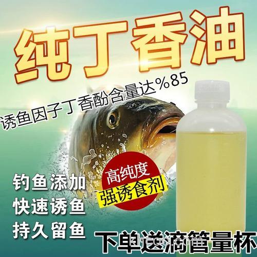 丁香酒泡蚯蚓正确方法？