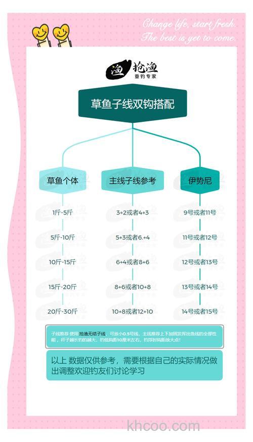 野钓草鱼线组如何搭配？