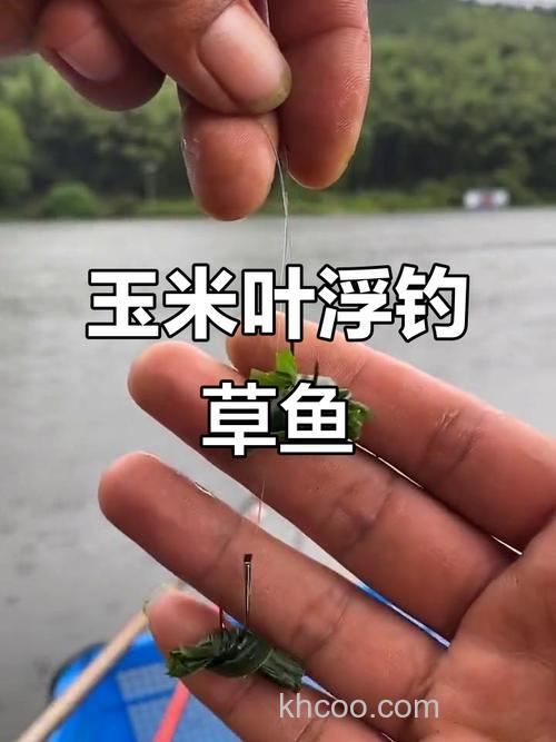 钓草鱼只能用玉米？
