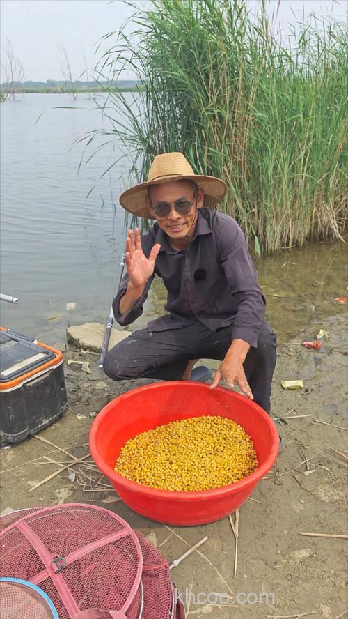 河湖水库野钓大草鱼自制窝料