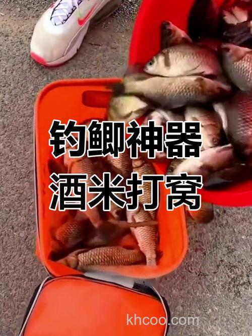 酒米一般能诱多远的鱼?什么酒米打窝效果好？