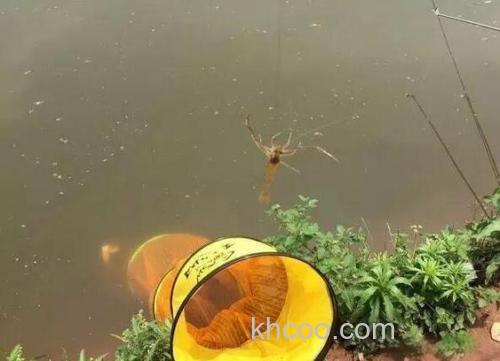 野外人造鱼窝钓大鱼的方法及体会