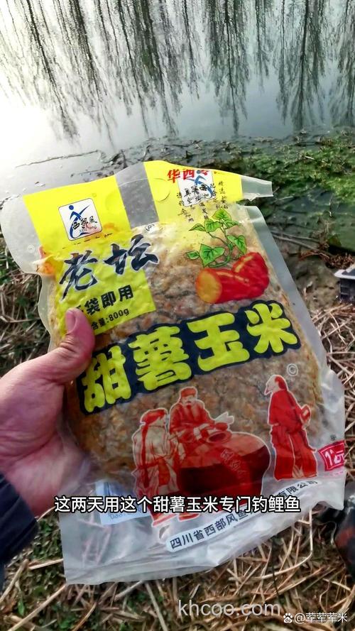 甜薯玉米和发酵玉米钓鲤鱼哪个好？