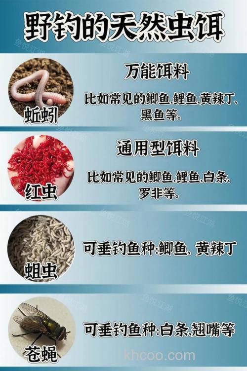 河虫钓饵的钓法？