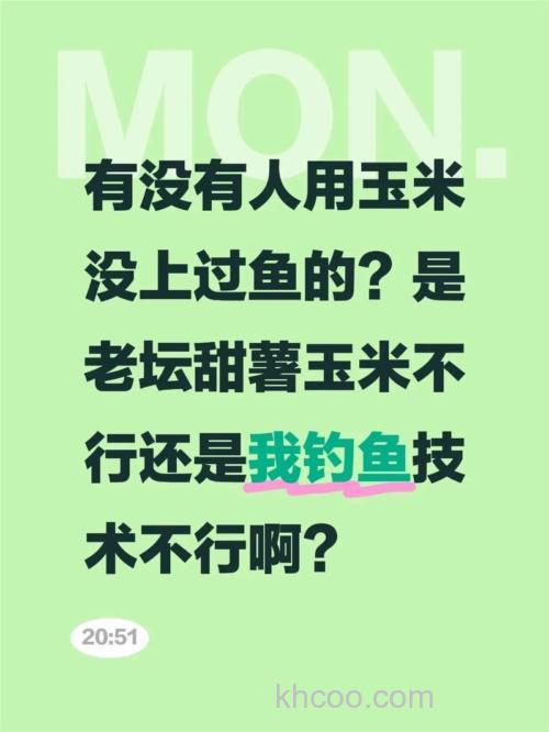 甜薯玉米钓鲤鱼好吗？