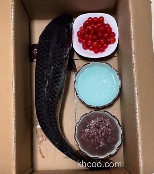 剩的饭菜可以倒水里喂鱼吗？