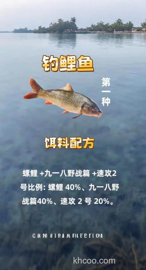 海钓钩鲤鱼鱼饵配方