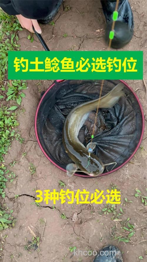 用泥鳅钓鲶鱼用多大的铅？