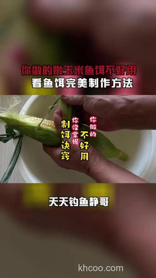用嫩玉米怎样制作鱼饵最方便