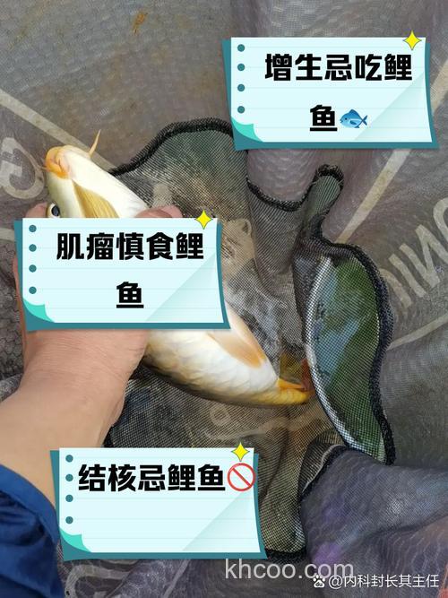 甲亢患者能吃香菜吗，能吃鲤鱼吗，或者能吃那些鱼之类的？？求解答。帮帮忙