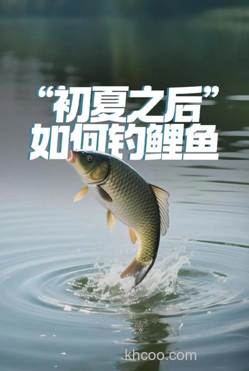 夏天垂钓鲤鱼需要注意哪些方面？
