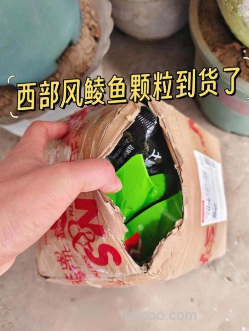 自制鲮鱼小药配方？