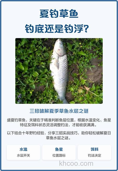 草鱼钓底还是钓浮？