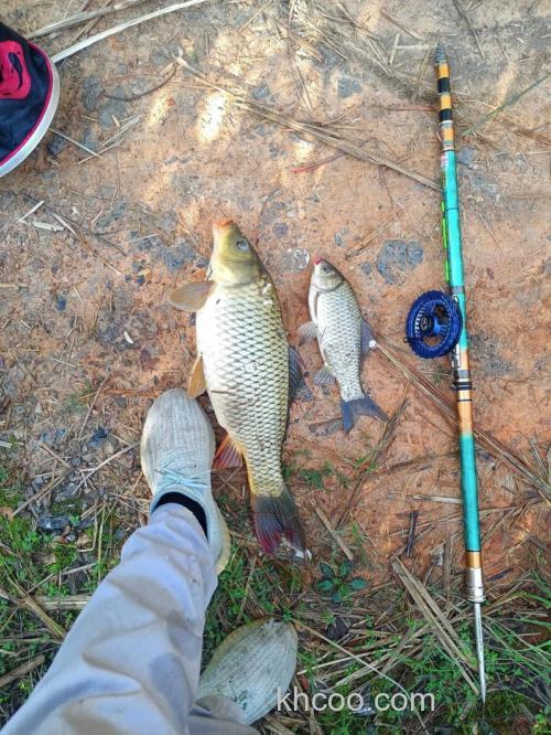 为什么老坛谷麦钓不到鱼?