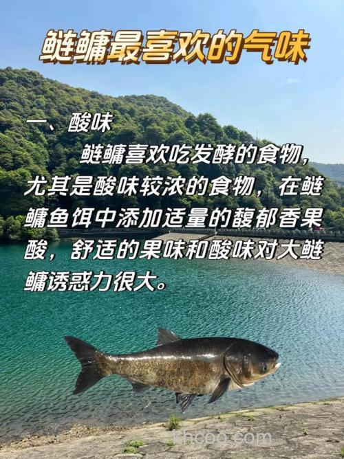 鲢鳙喜欢什么味型的氨基酸？