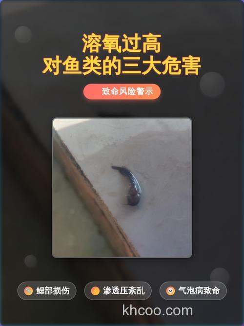 溶氧量低的时候鱼在哪？