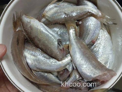 什么鱼吃小米？