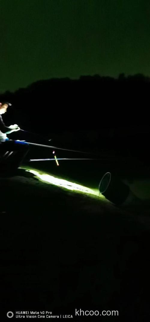 深秋晚上下小雨好钓鱼吗?