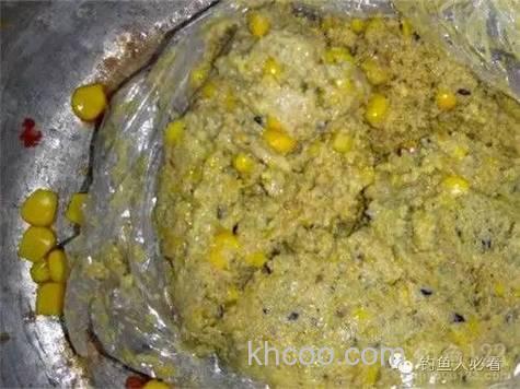 豆渣钓鲤鱼最佳配方？