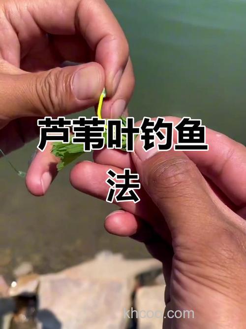 钓草鱼时怎样挂青草呢？