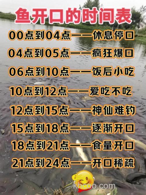 初冬晚上鱼几点开口好钓？初冬晚上钓鱼技巧和方法