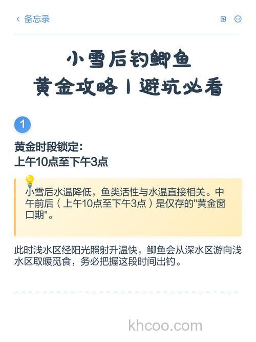 小雪钓鲫鱼的正确方法？