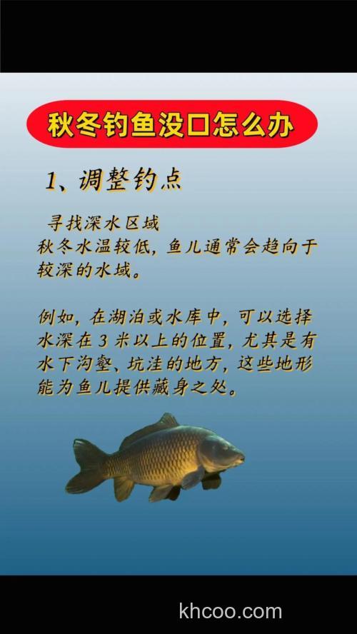 冬天钓鱼不开口怎么解决？