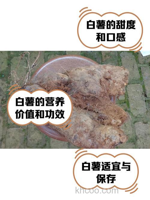 白饵可以加红薯嘛？