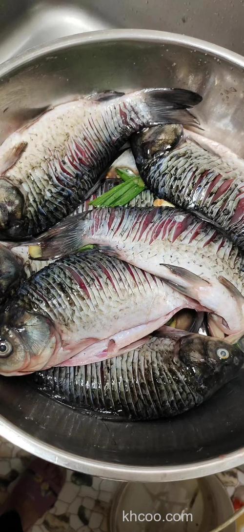 什么鱼吃了没这么上火