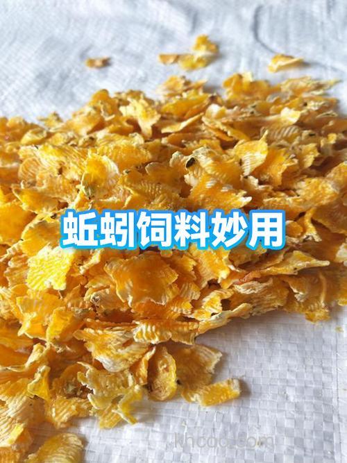 蚯蚓高蛋白原料怎么做？
