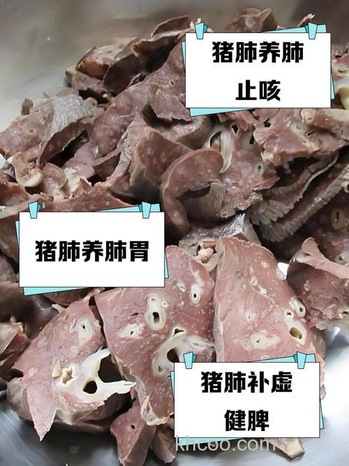 猪肺有人用过没？