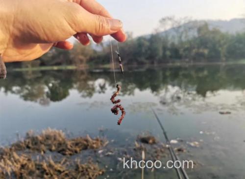 春季钓鱼打窝多久发窝?