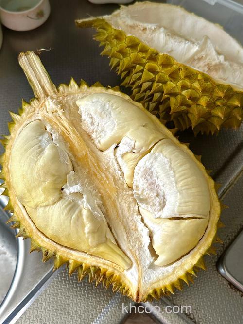 榴莲能用来干啥？拜托各位大神