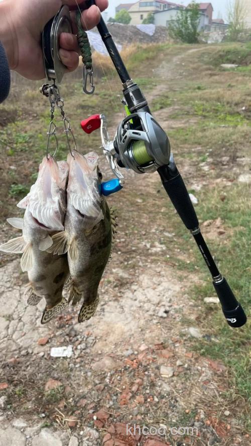 钓鳜鱼路亚竿推荐有哪些？