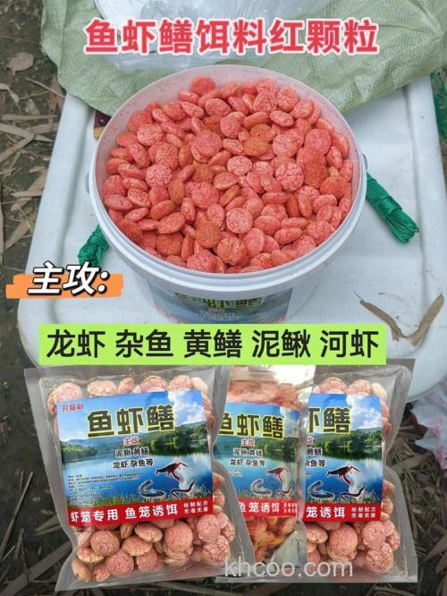 用什么诱饵捕龙虾和黄鳝