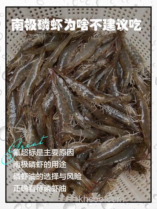 南极磷虾每年被吃掉3亿吨，为何一直吃不完？