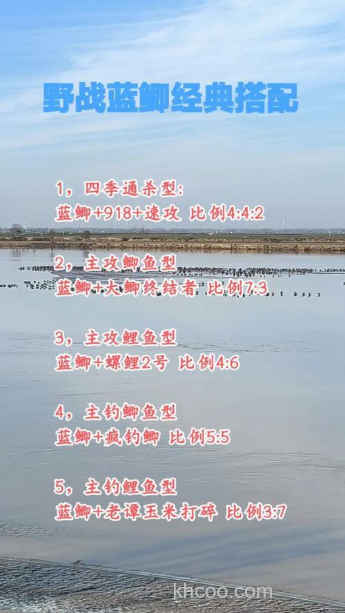 野战蓝鲫和不空军如何搭配？