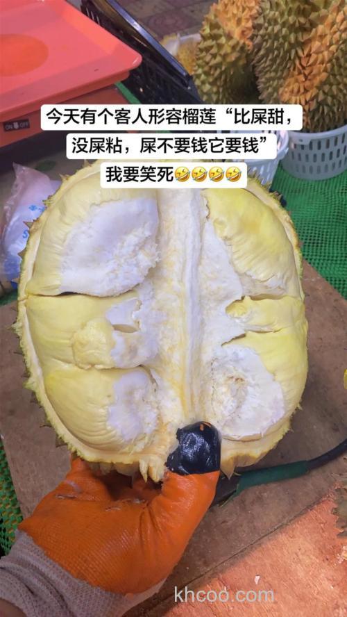 榴莲的臭味放在地笼里能抓龙虾吗？