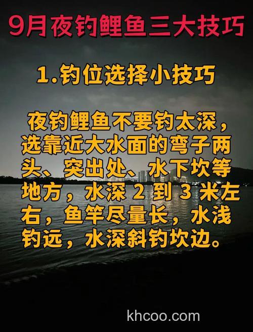 秋季夜钓鲤鱼怎么才好钓，掌握以下几点钓鱼不难