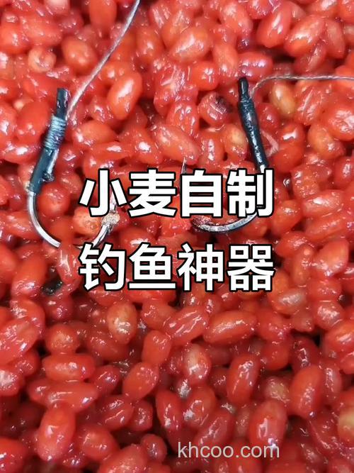 “绿麦子”怎么做鱼饵？