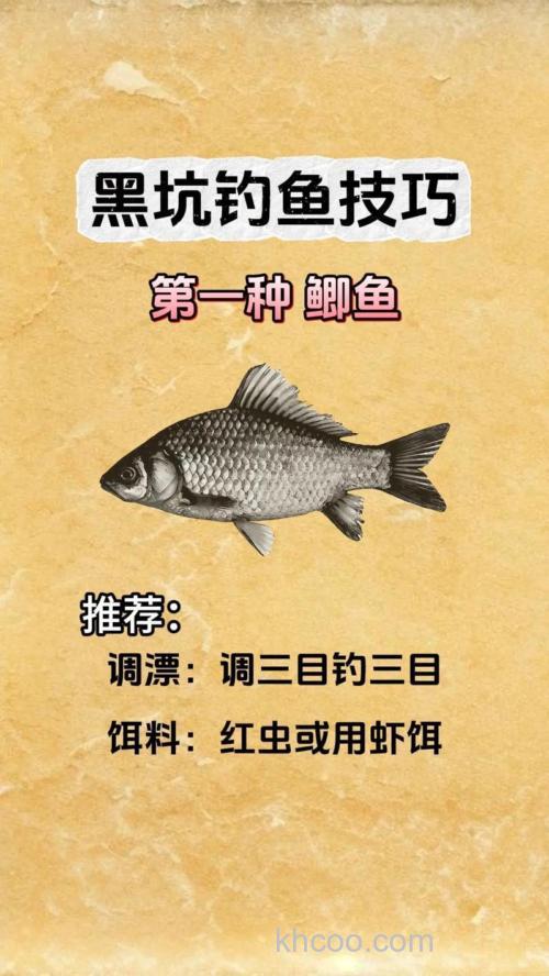 黑坑钓鲤鱼怎么样才能比别人钓的更多？这6点小细节千万不可忽视